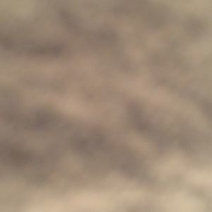 Meet your Posher, Gavin